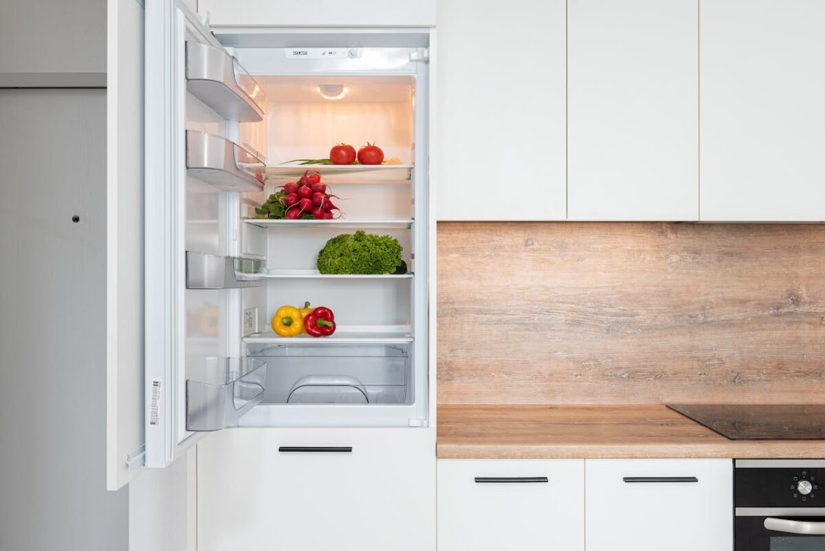 Essential Tools and Tips for Refrigerator Repairs